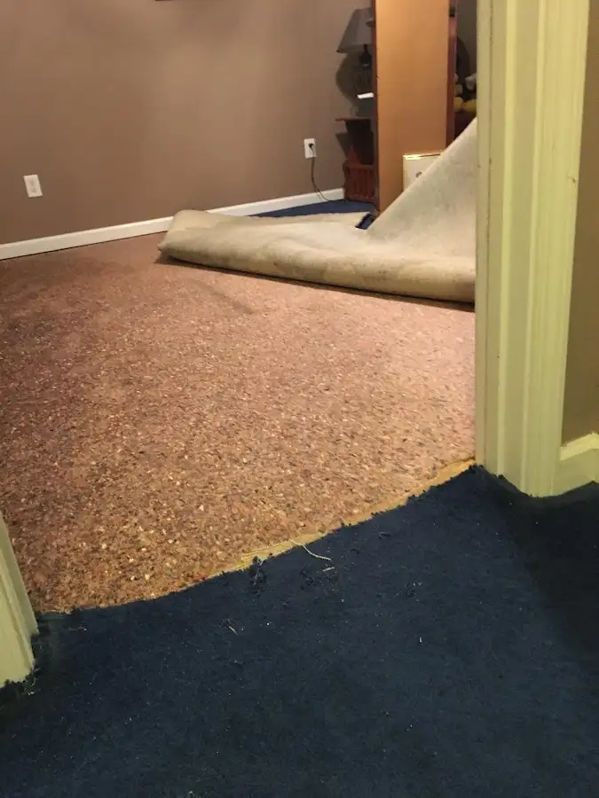 Carpet pad removal revealing water damage during Drying & Dehumidification in Ardmore